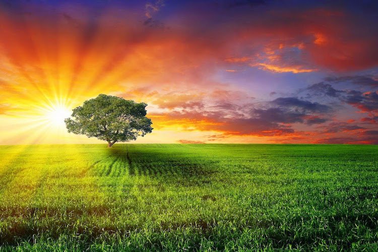 Link Title Link TitleLink TitleLink TitleLink Title